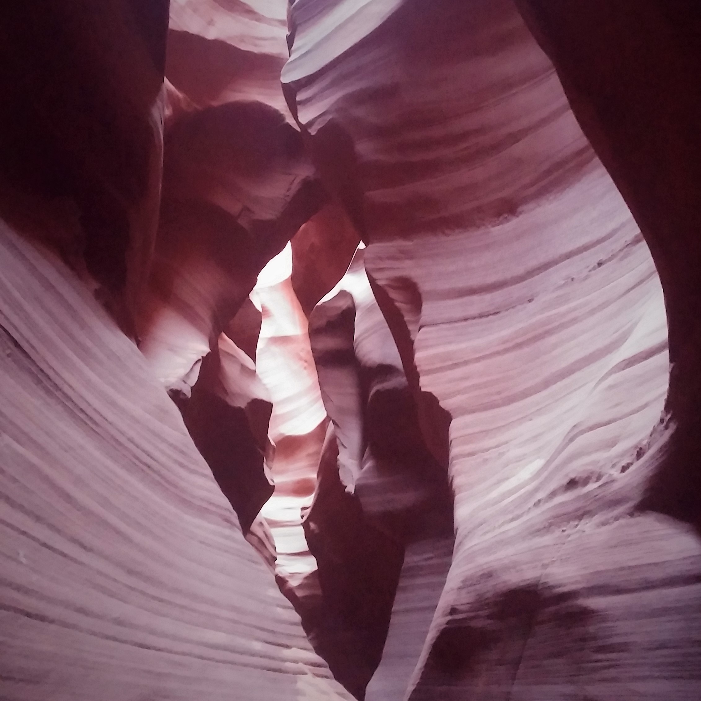 horseshoe bend tours secret canyon